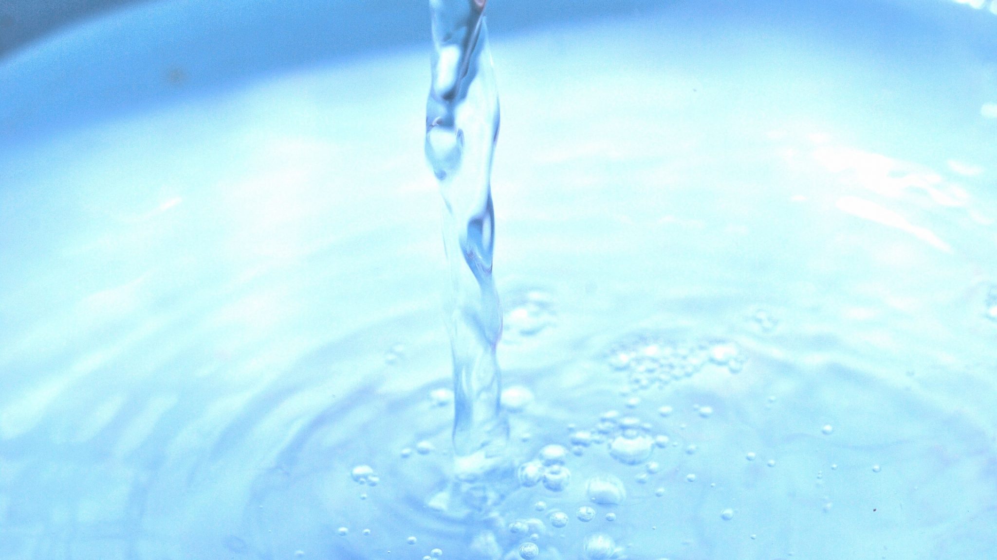 27204975_m