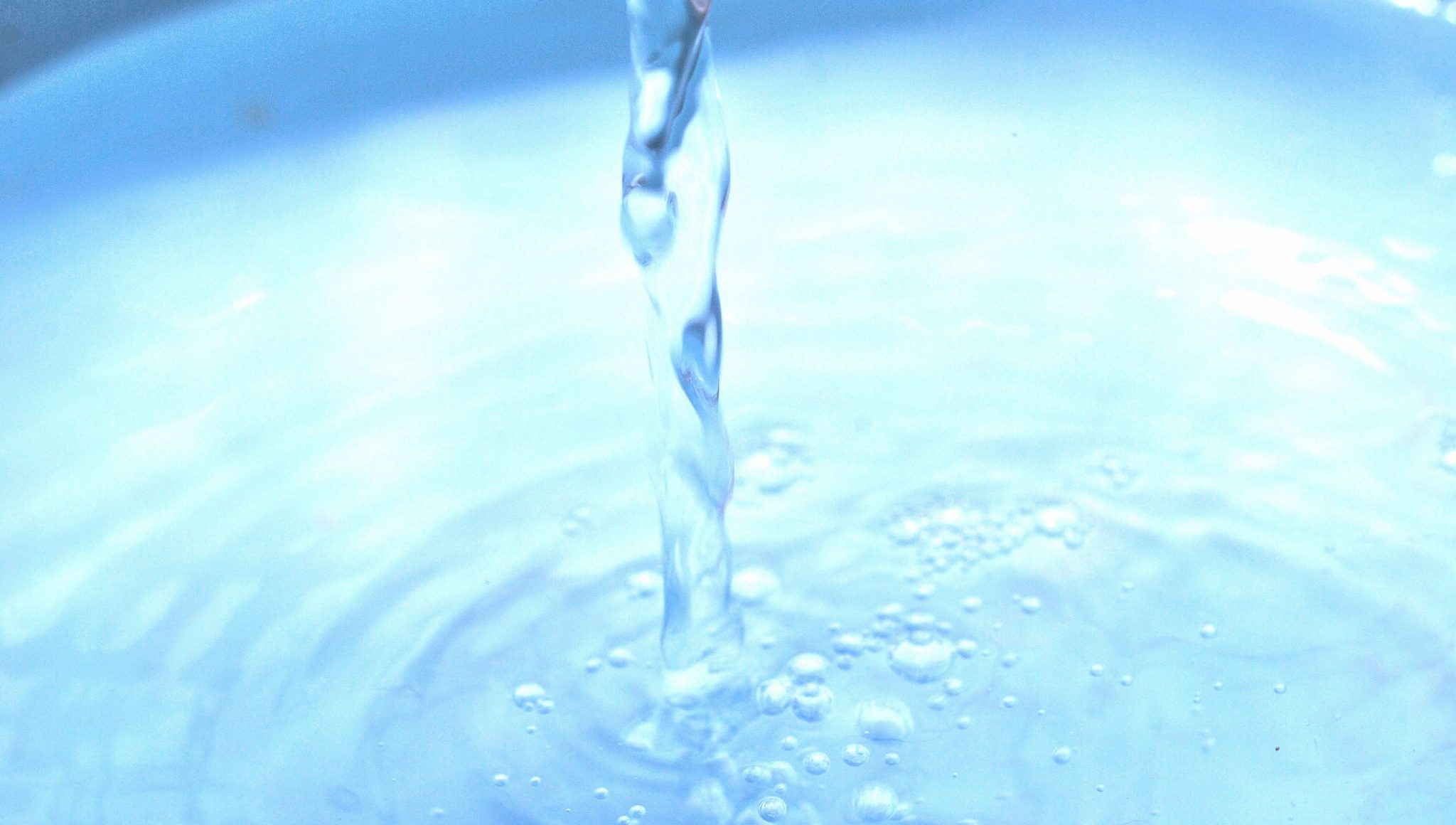 27204975_m